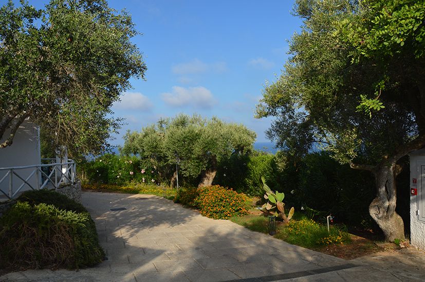 CDS Hotel mare Hotel giardino