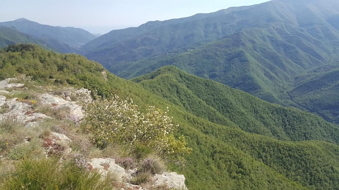 DREGO VALLE ARGENTINA