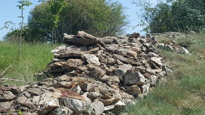 DREGO VALLE ARGENTINA