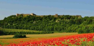 Rocca di Lonato del Garda