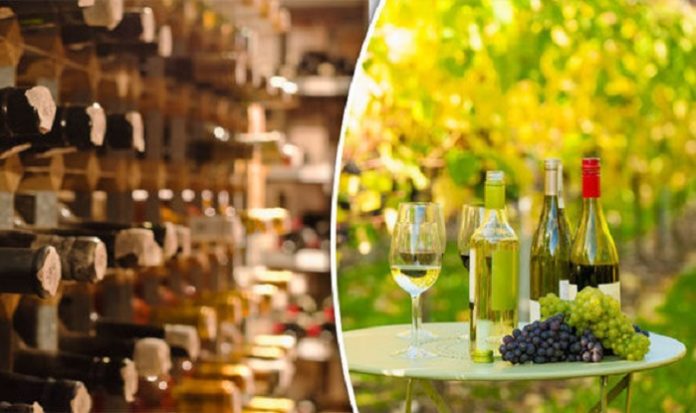 Wine Industry British Wine Business Wine-industry-British-wine-business-