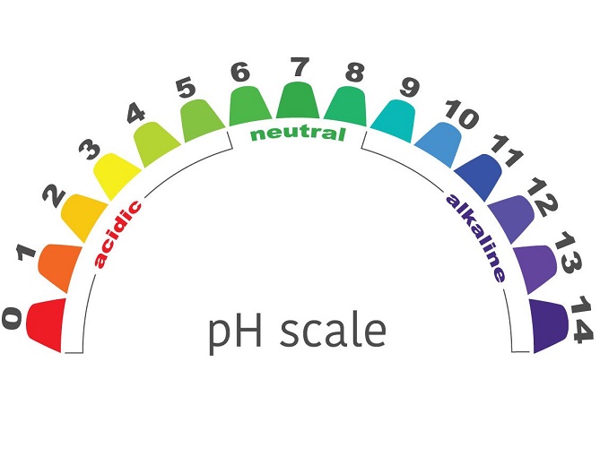 acqua-alcalina-ionizzata