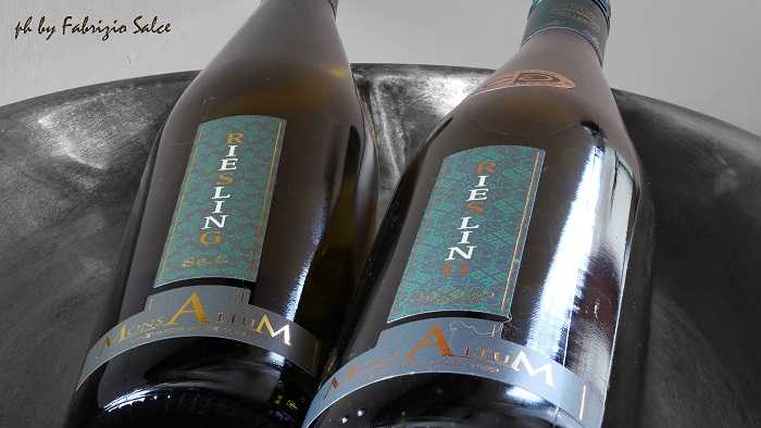 riesling 
