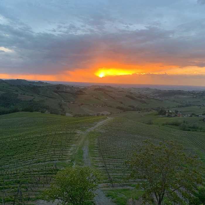 territorio