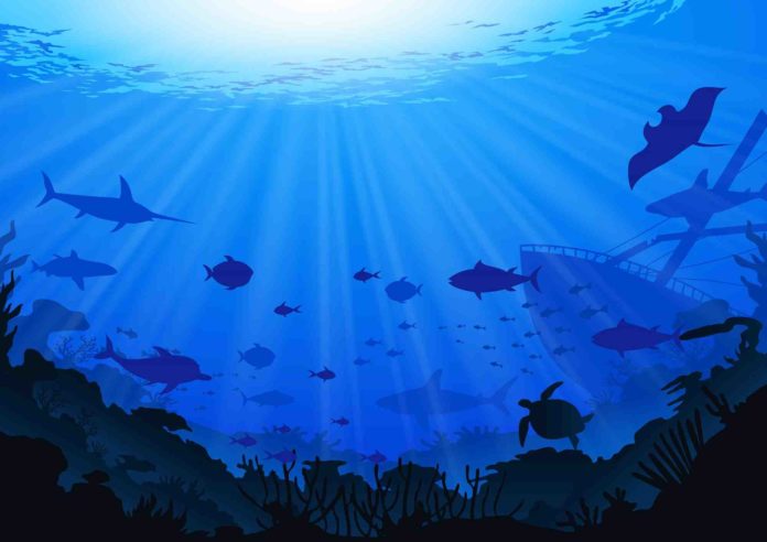 Ocean ocean