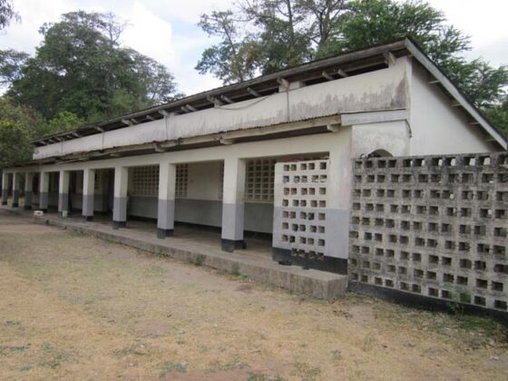 Aevo Gala Estate 2015 6