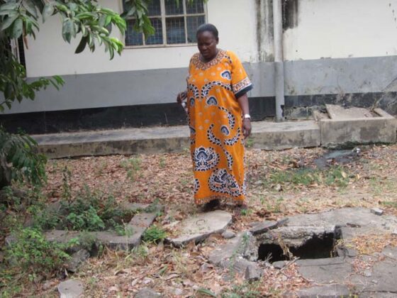 Aevo Gala Estate 2015 8