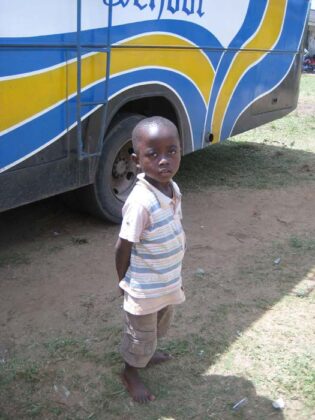 Aevo Gala Estate 2015 9