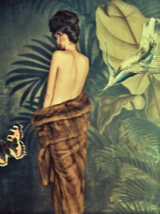 Alessandro Vasapolli 2018 16