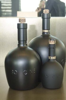 Bolllicine 2013 16