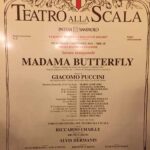 Butterfly Prima Artisti 2017 02