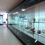 Calabria Musei 2016 6