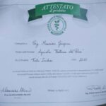 Cibo & Medicina 2015 81
