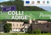 Ddaio Colli All'adige Paesaggi Rurali Padova
