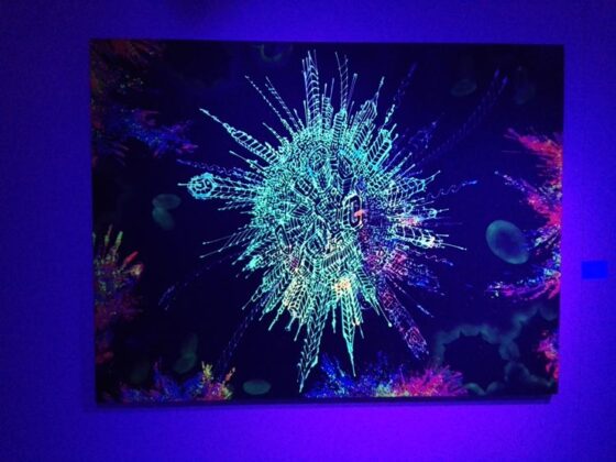 Mostra Black Light Art 2017 10