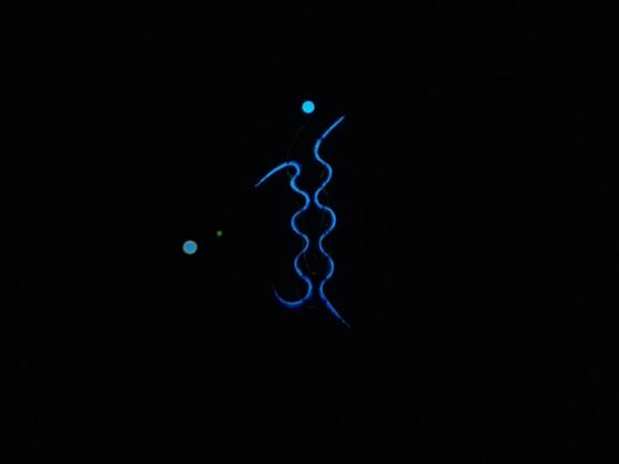 Mostra Black Light Art 2017 11