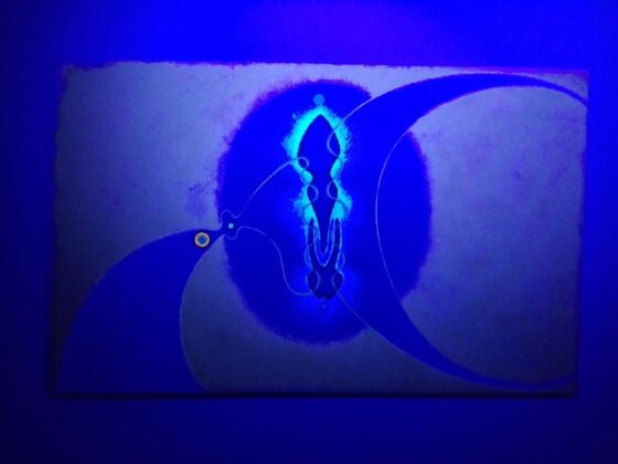 Mostra Black Light Art 2017 12