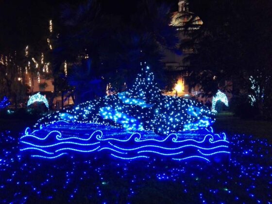 Salerno Luci Di Artista 2018 16