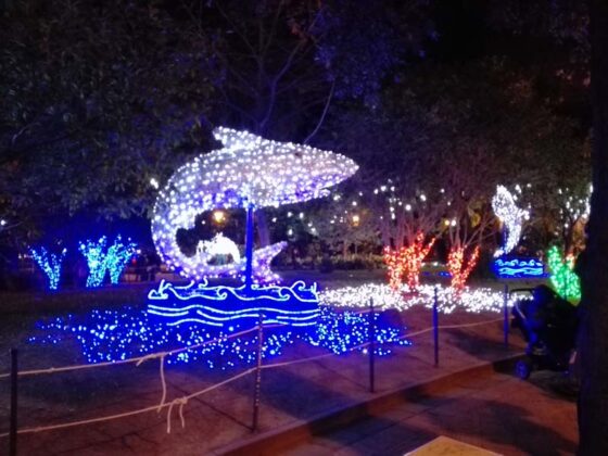 Salerno Luci Di Artista 2018 18