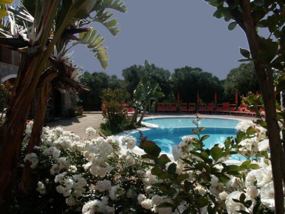 Aiuola Di Rose Su Pscina