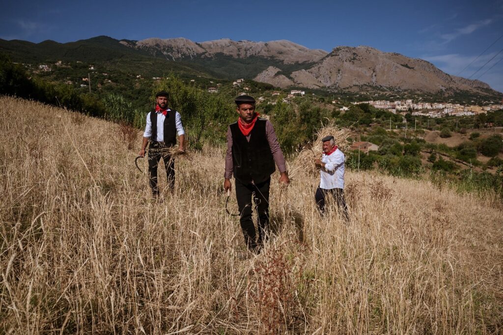 Festa del Grano Castelbuono Tenuta Fiasconaro-min