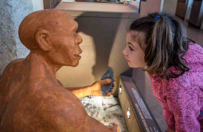 Homo Heidelbergensis Antico Abitatore Del Finalese Compressed Homo heidelbergensis antico abitatore del Finalese-compressed