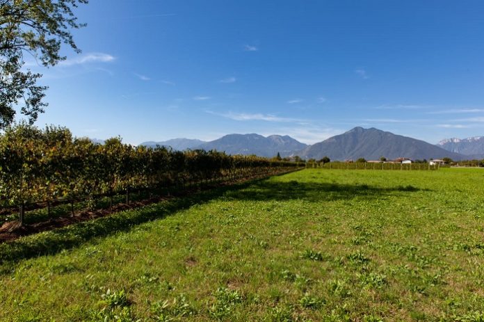 Podere Ruaro marano vicentino