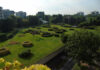 MILANO ESTATE 2020 AL PARCO NORD “OLTRE I LIMITI” parco nord milano
