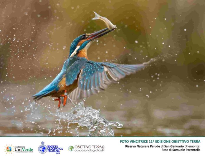 Foto Vincitrice Samuele Parentella