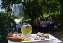 Il Salone del Gusto 2010 sondaggio sulle abitudini di consumo e di acquisto dello Stand del Veneto Gemmedigusto Fototecastradavinosaporitrentino Phlorenzacampolongo