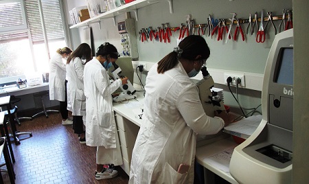 Istituto Zaccagnini 1 Istituto Zaccagnini