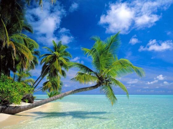 Maldive 2
