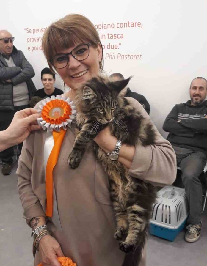 Gatto Piu In Salute Eragon Gatto Piu In Salute Eragon