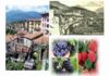 Bienno oggi, foto di Luca Giarelli. A destra il borgo nel 1930; in basso frutti di bosco