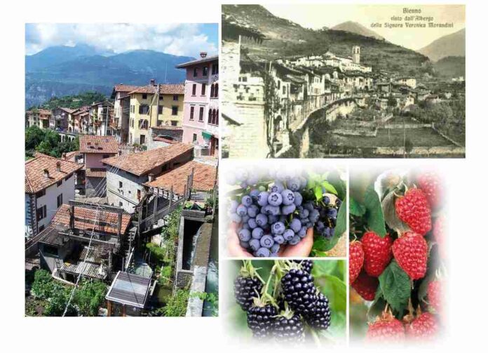 Bienno oggi, foto di Luca Giarelli. A destra il borgo nel 1930; in basso frutti di bosco