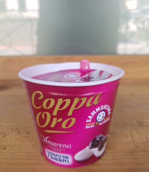 Piccoli momenti di felicità! 24 Ore News