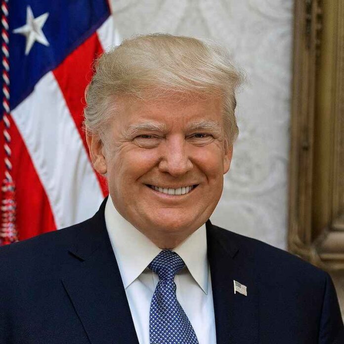 Donald Trump Official Portrait Dazi - Trump Epstein case