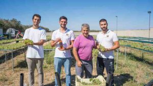 Eliae Angelo Maci Junior Enologo Francesco Fortunato Pippi Elia Angelo Scarano