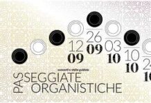 Passeggiate Organistiche Pavia
