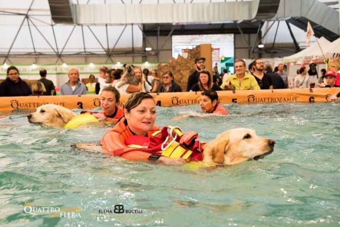 Quattrozampe in Fiera - una edizione pre-coronavirus covid-19