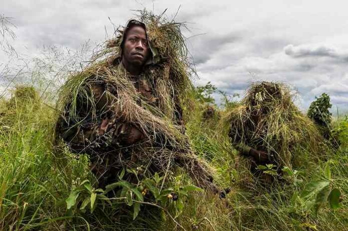 Virunga - Siena Awards 2020 Virunga Siena Awards 2020