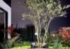 Crescono in Cina i Boschi Verticali firmati da Stefano Boeri Architetti Easyhome Huanggang Vertical Forest