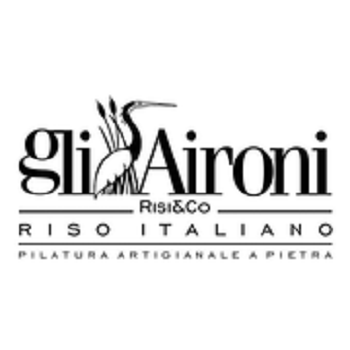 GLI AIRONI