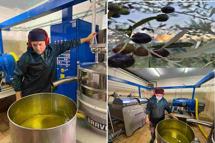 Il momento dell'uscita dell'olio al Frantoio Pagliaia