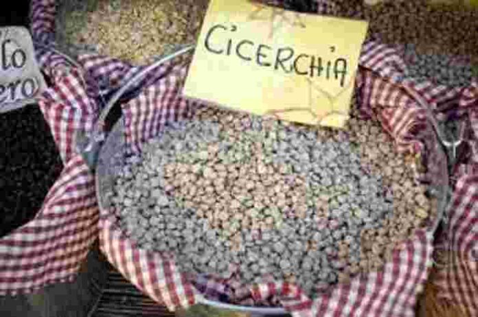 CICERCHIA CICERCHIA