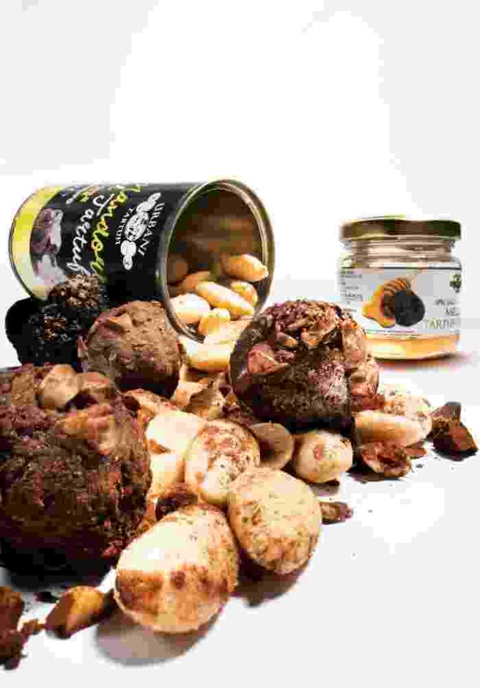 Urbani Tartufi e Scamardella Tartufini