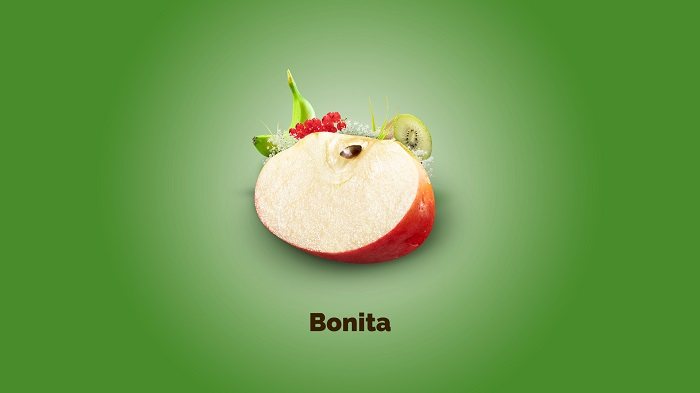 V Bonita