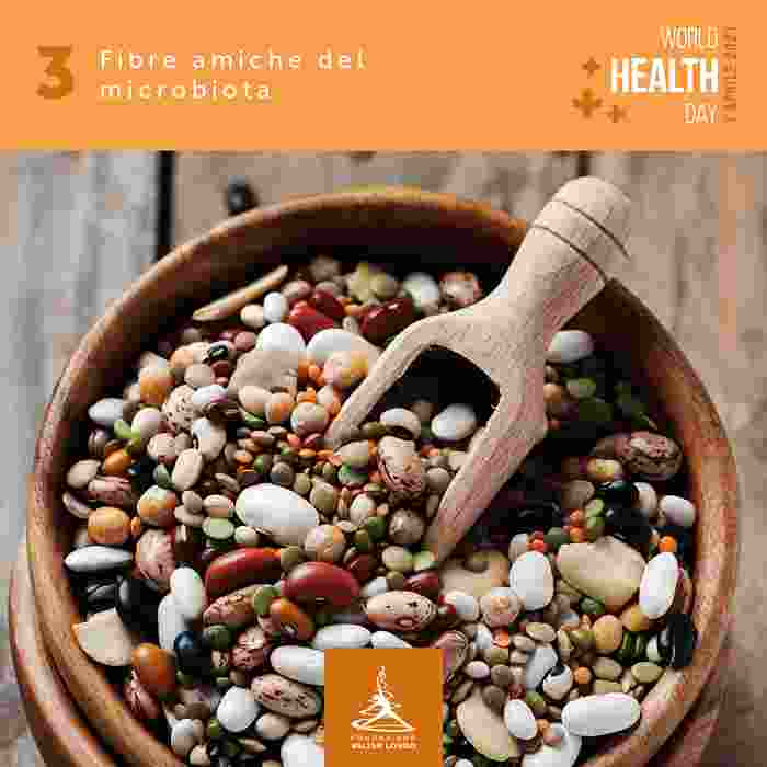 3 Fibre amiche del microbiota min