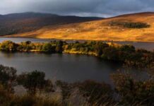 Concorso Fotografare il Parco