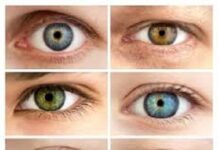 Colore degli occhi: scoperti 50 nuovi geni che lo influenzano LORE OCCHI